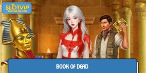 Book Of Dead - Reward-Based Slot Game Review by SLOTVIP