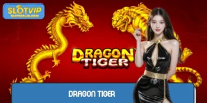 Dragon Tiger - Detailed Gameplay Guide For Beginners
