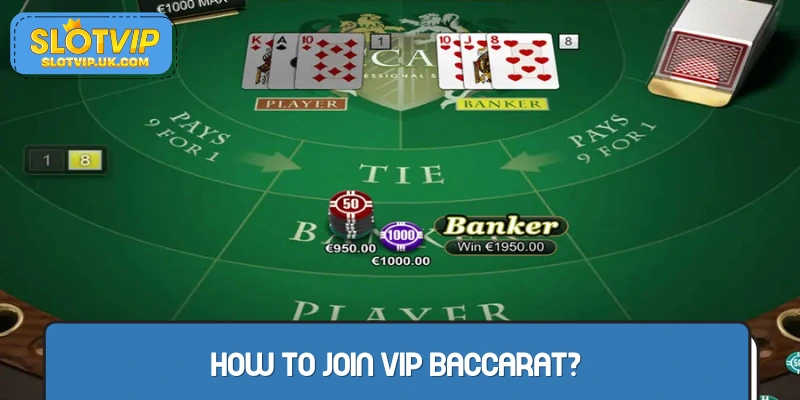 Experts guide you to watch VIP Baccarat