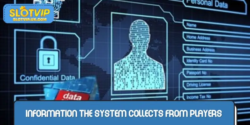 Information that the system collects from players