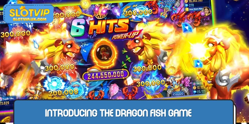 Introduction to Dragon King