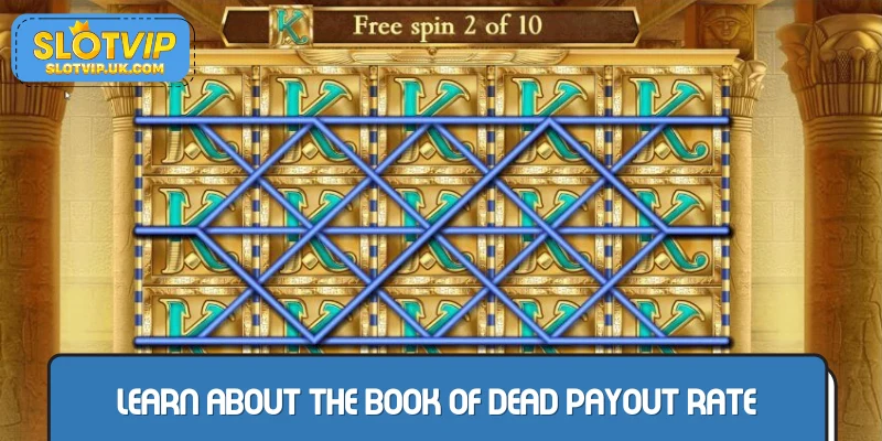 Learn about the payout return rate