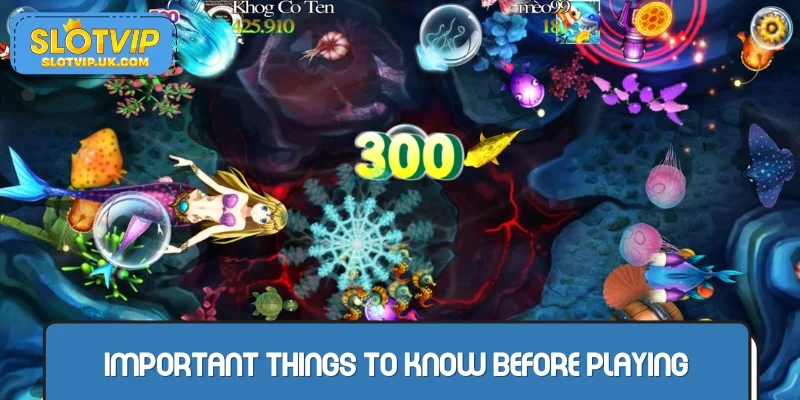 Important things to know before playing the game