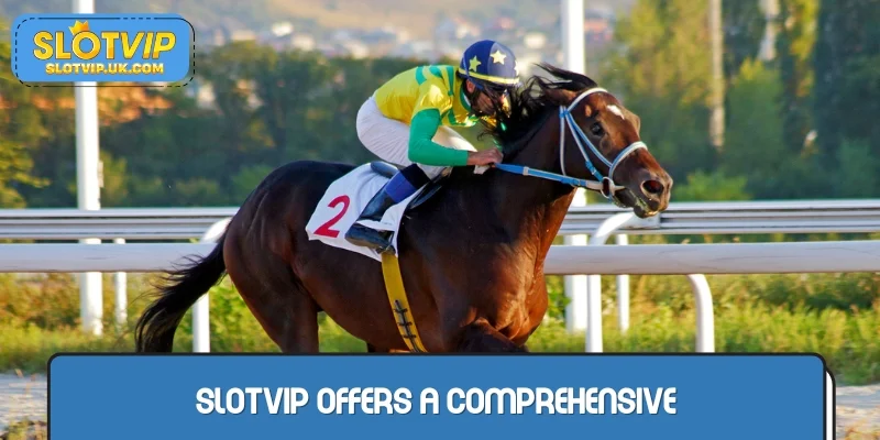 SLOTVIP offers a comprehensive, classy sports betting ecosystem