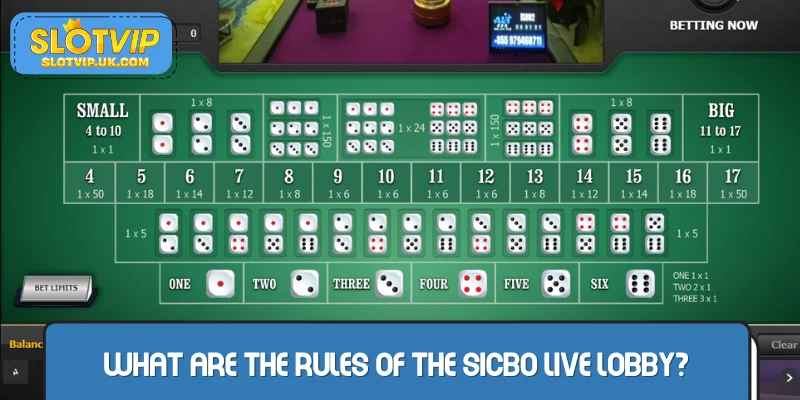 Update for you the rules of Sicbo Mega