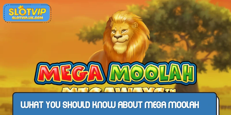 Overview of Mega Moolah
